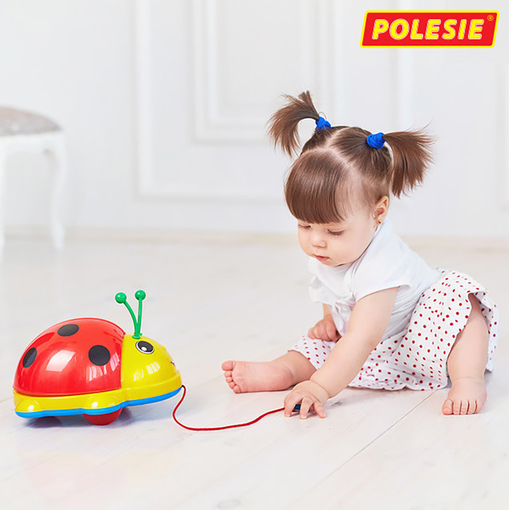 Đồ Chơi Cánh Cam Phát Nhạc, Đồ Chơi Giáo Dục, An Toàn, Phát Triển Tư Duy, Sáng Tạo Cho Bé - Polesie Toys 9158