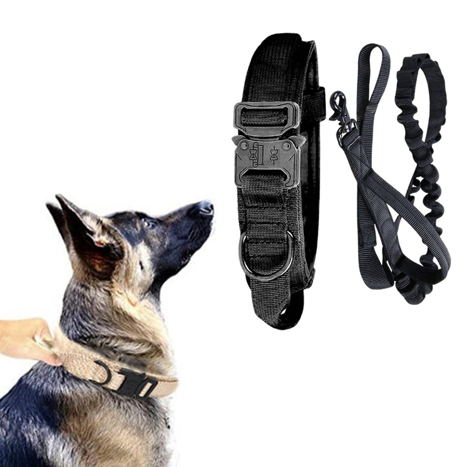 And Leash Set with Handle w/ Metal Buckle Adjustable