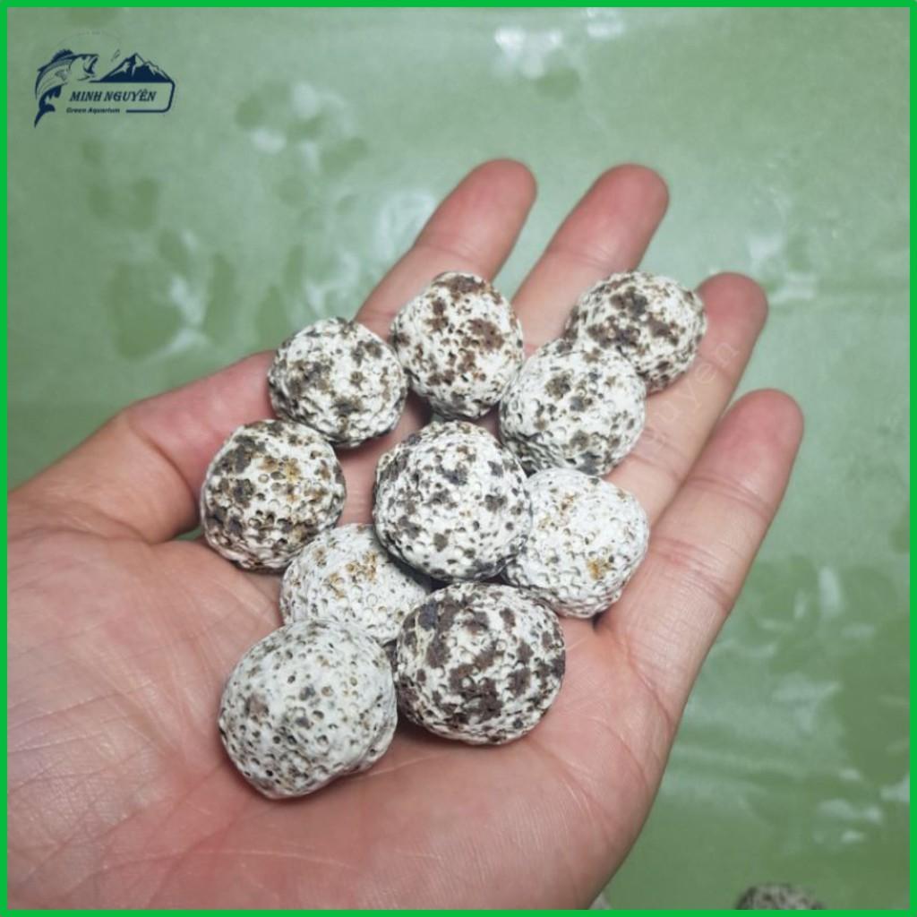 Sứ bi muối tiêu | Vật liệu lọc nước bể cá cao cấp 100G