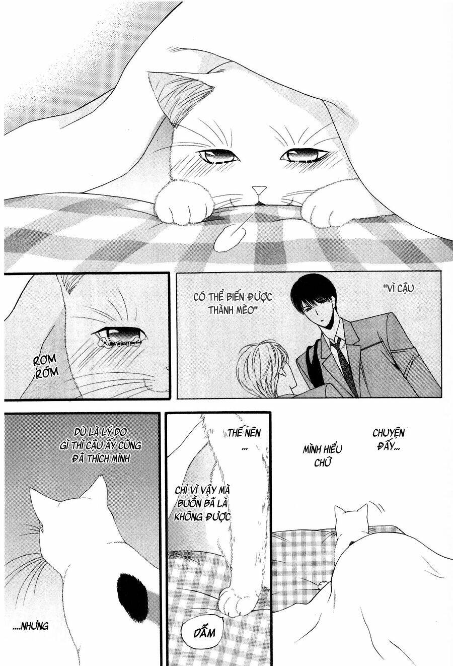 neko neko honey chapter 11 27