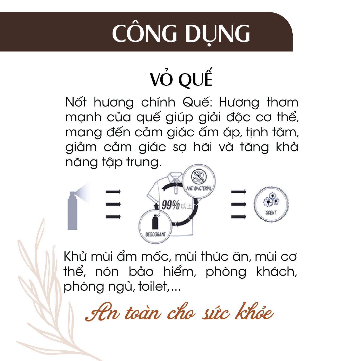 Combo 5 Tinh dầu Xịt phòng Quế Hữu Cơ Organic 24Care 100ML/Chai