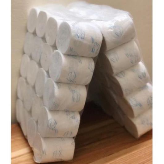 1 lốc 20 cuộn giấy vệ sinh không lõi