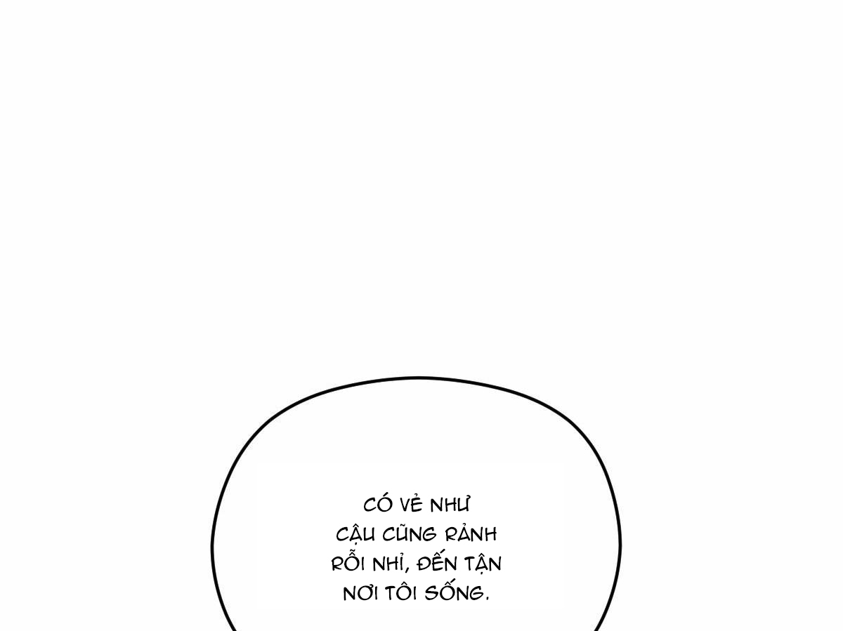 tương phùng chapter 13 135