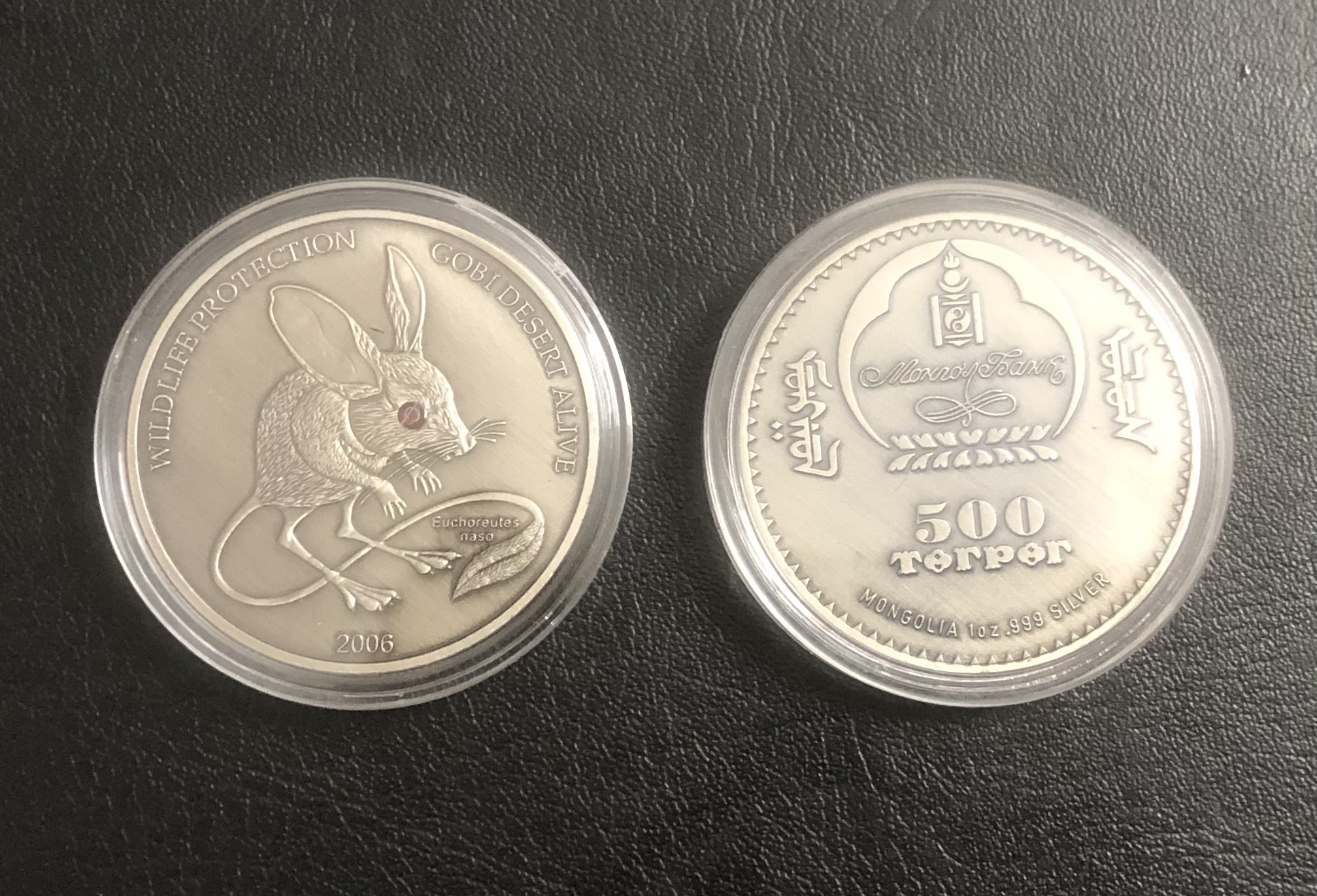 Xu lưu niệm con Chuột Mông Cổ