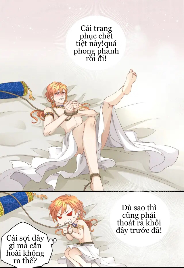 nàng và bảy người tình chapter 2 2