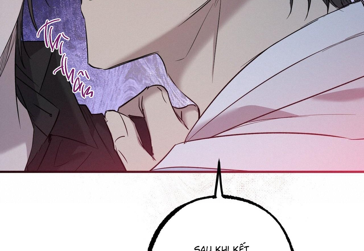 những chú thỏ của hapypy chapter 59 261