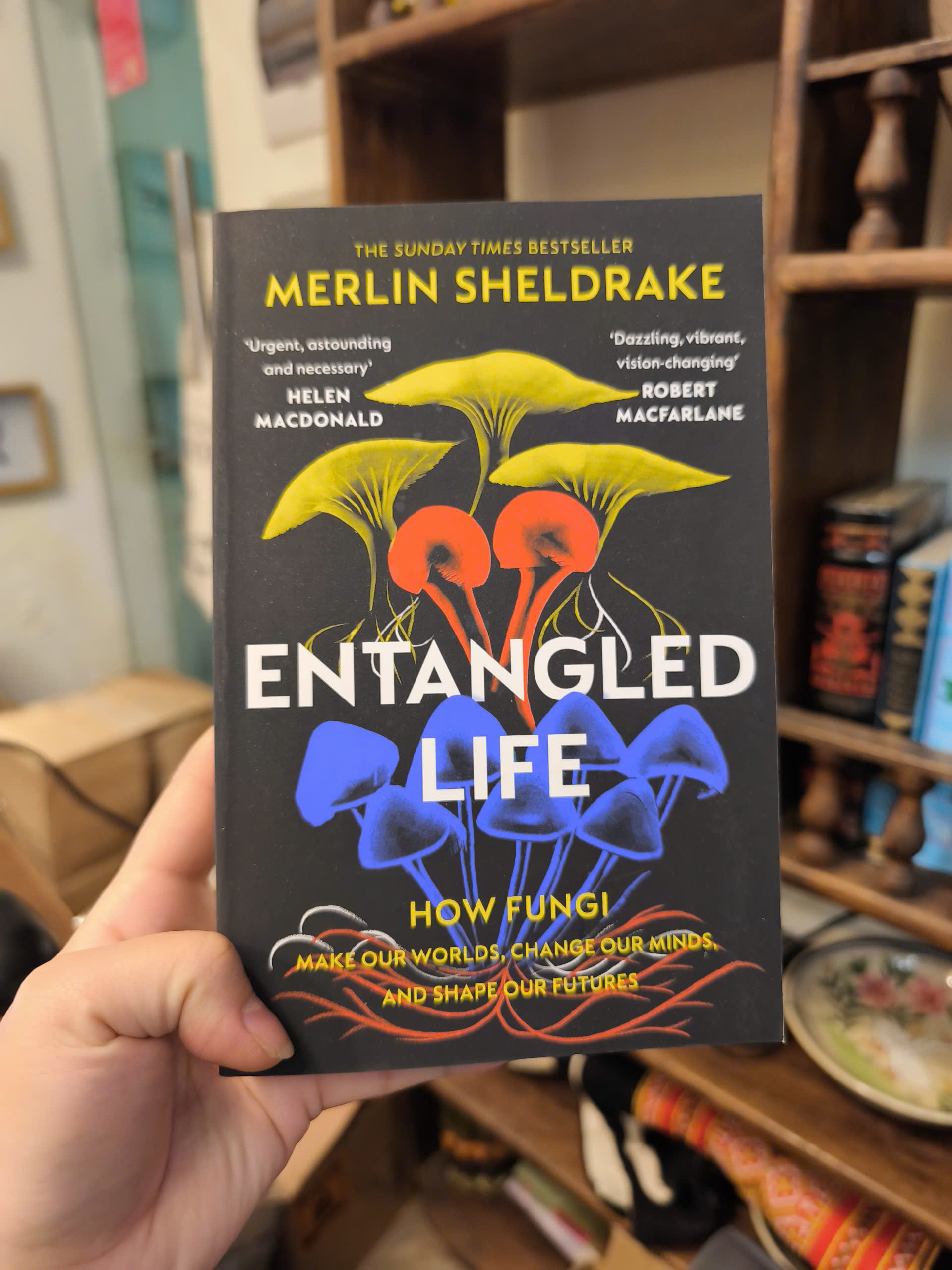 Sách - Entangled Life How Fungi Make Our Worlds, Change Our Minds &amp; Shape Our Futures - English Book