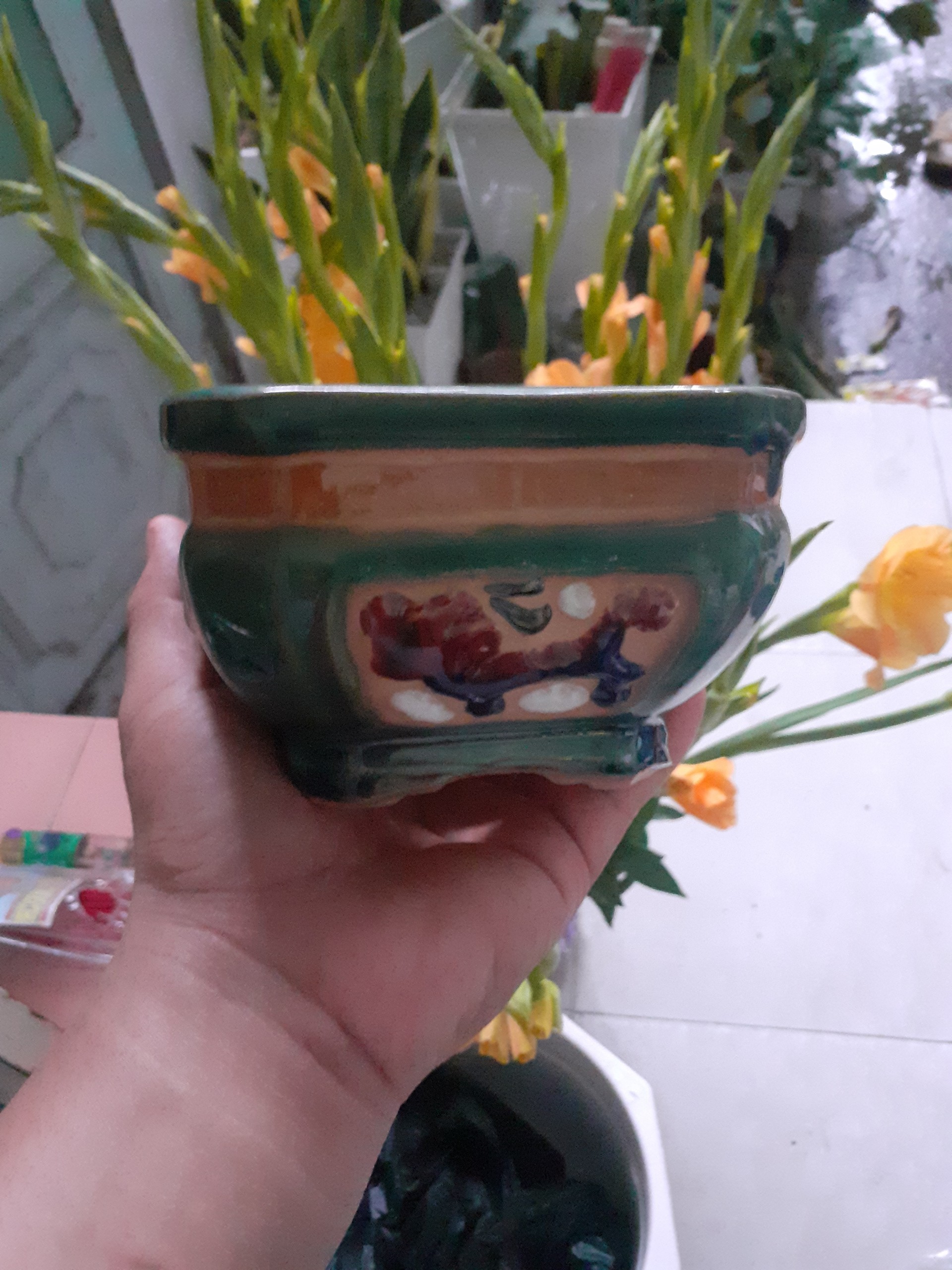 Chậu Bonsai mini màu ngọc bích vua sư tử
