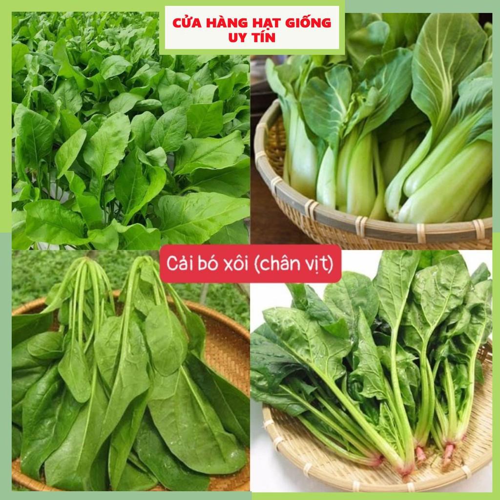 Hạt Giống Cải Bó Xôi Loại Siêu Dễ Trồng & Dễ Thu Hoạch Tặng kèm Hướng Dẫn Trồng
