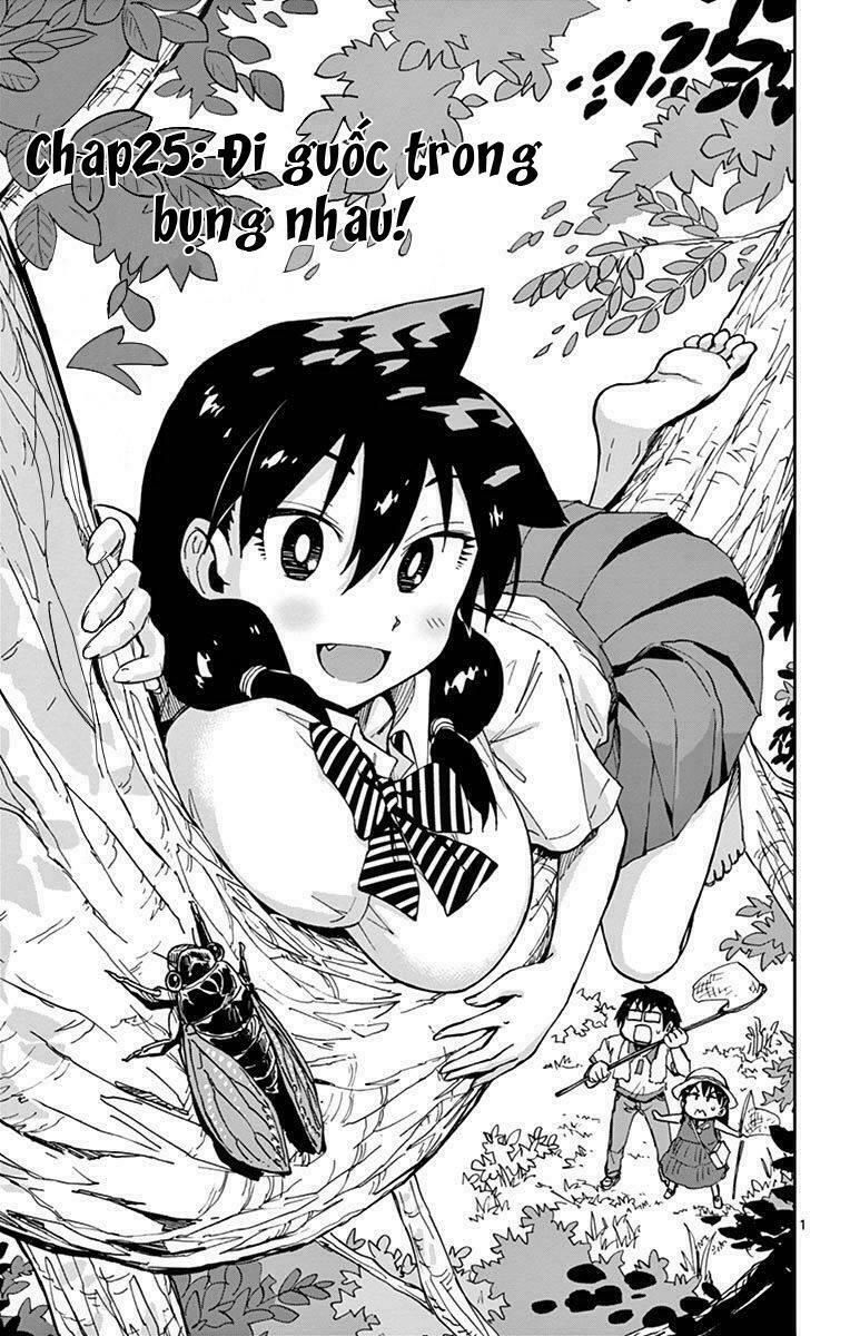 amano megumi wa suki darake! chapter 25 1
