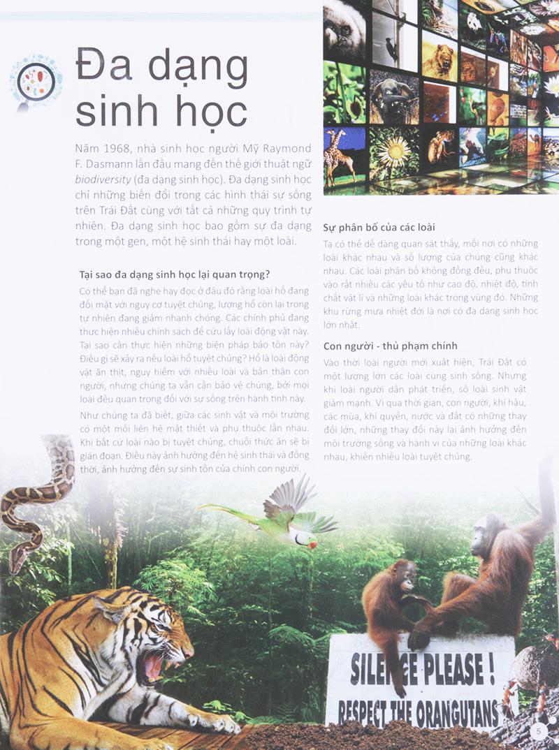 Sinh Thái Học (Tranh Màu)