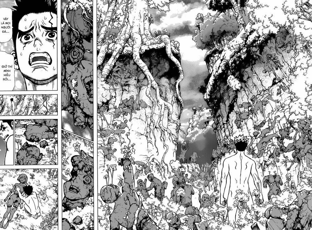 dr.stone - hồi sinh thế giới chapter 1 33