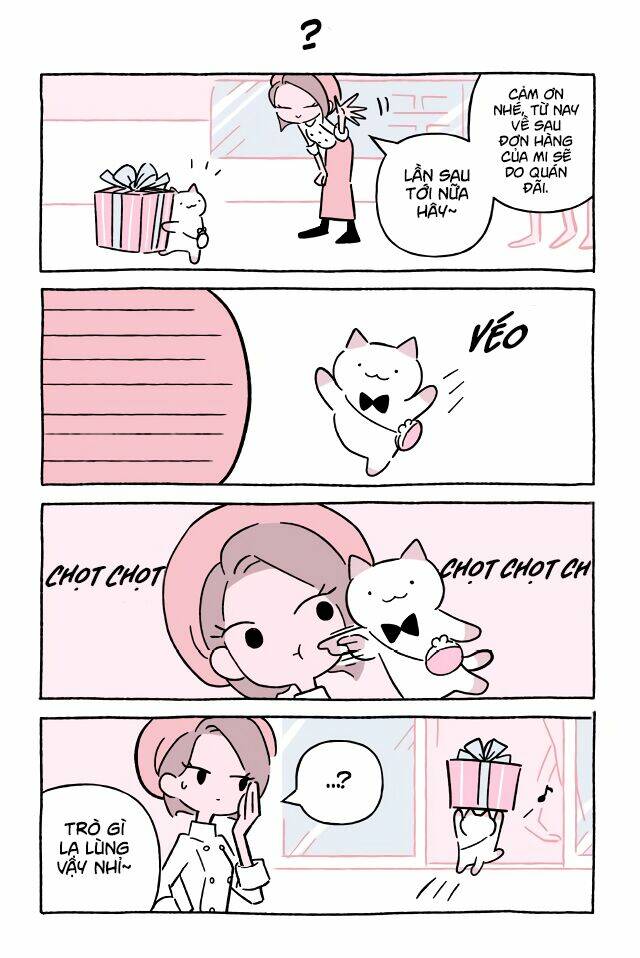 chú mèo kỳ diệu kyuu-chan chapter 595 2