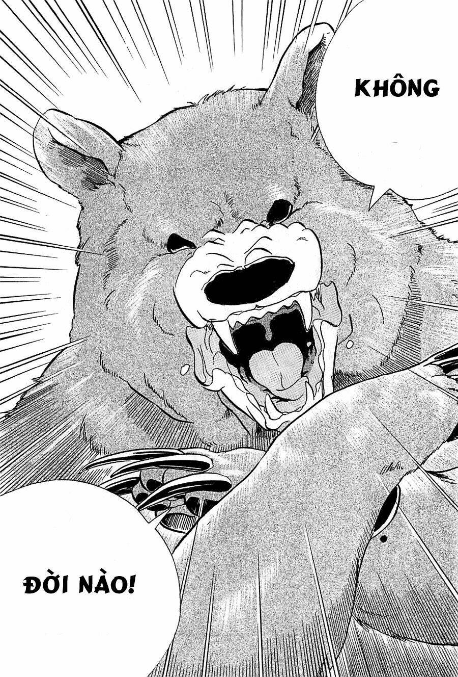 gấu nâu và vu nữ chapter 1 11