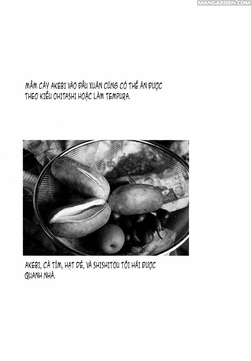 little forest chapter 25 9