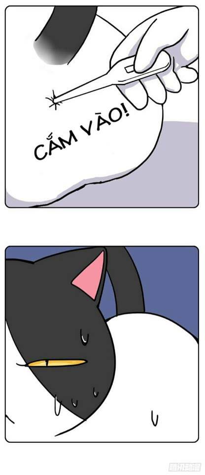 hello dư tuyết đặc chapter 2 3