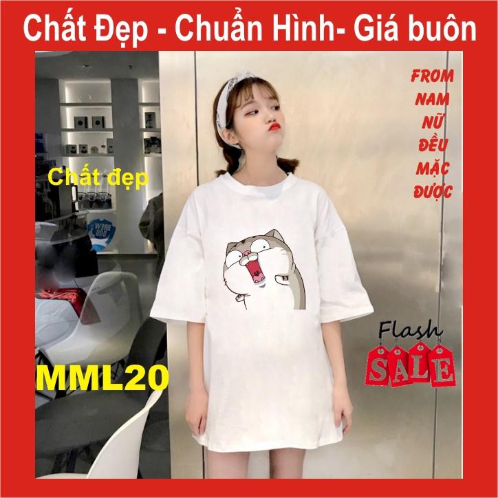 Áo thun mèo cat ami bụng bự M21,UNI SIZE FREE SIZE ,tay lỡ