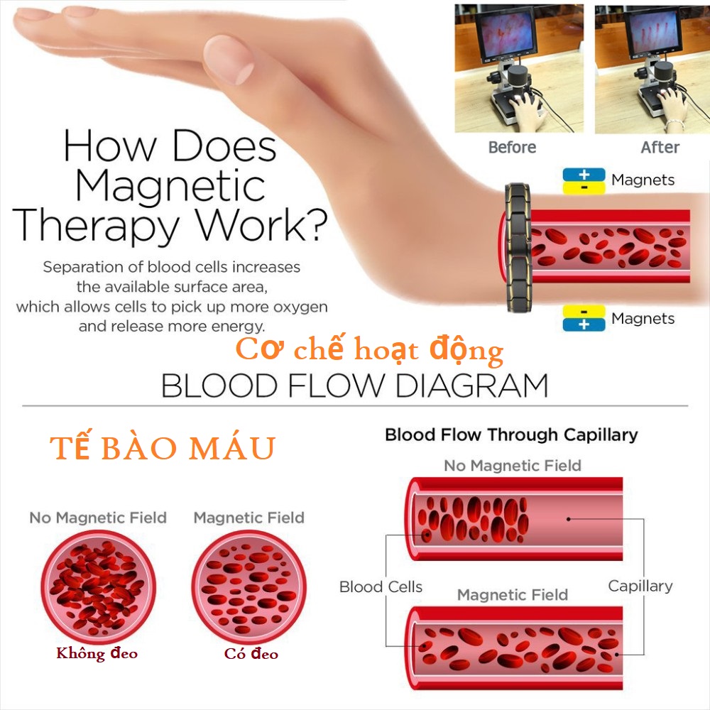 Combo Vòng đeo tay sức khỏe từ tính, gắn hạt Germanium, Hỗ trợ: ổn định huyết áp, Chống ngáy, Giảm cân..., Cỡ vòng 21cm, Kèm hộp đựng lót Nhung Nỉ