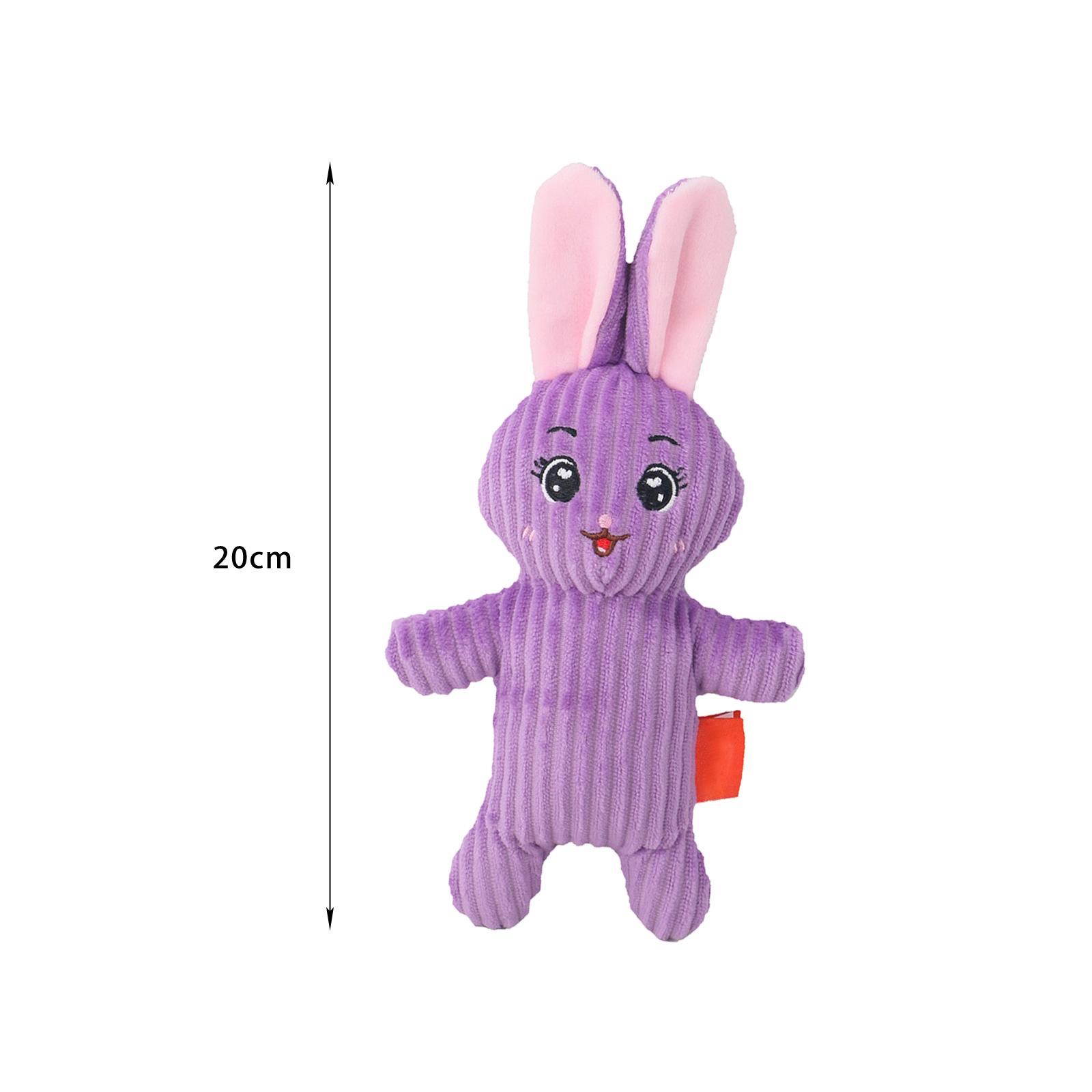 Adorable Squeak Dog Toy, Bite Resistant Puppy Chew Toy for Small Large Dogs Pet Training