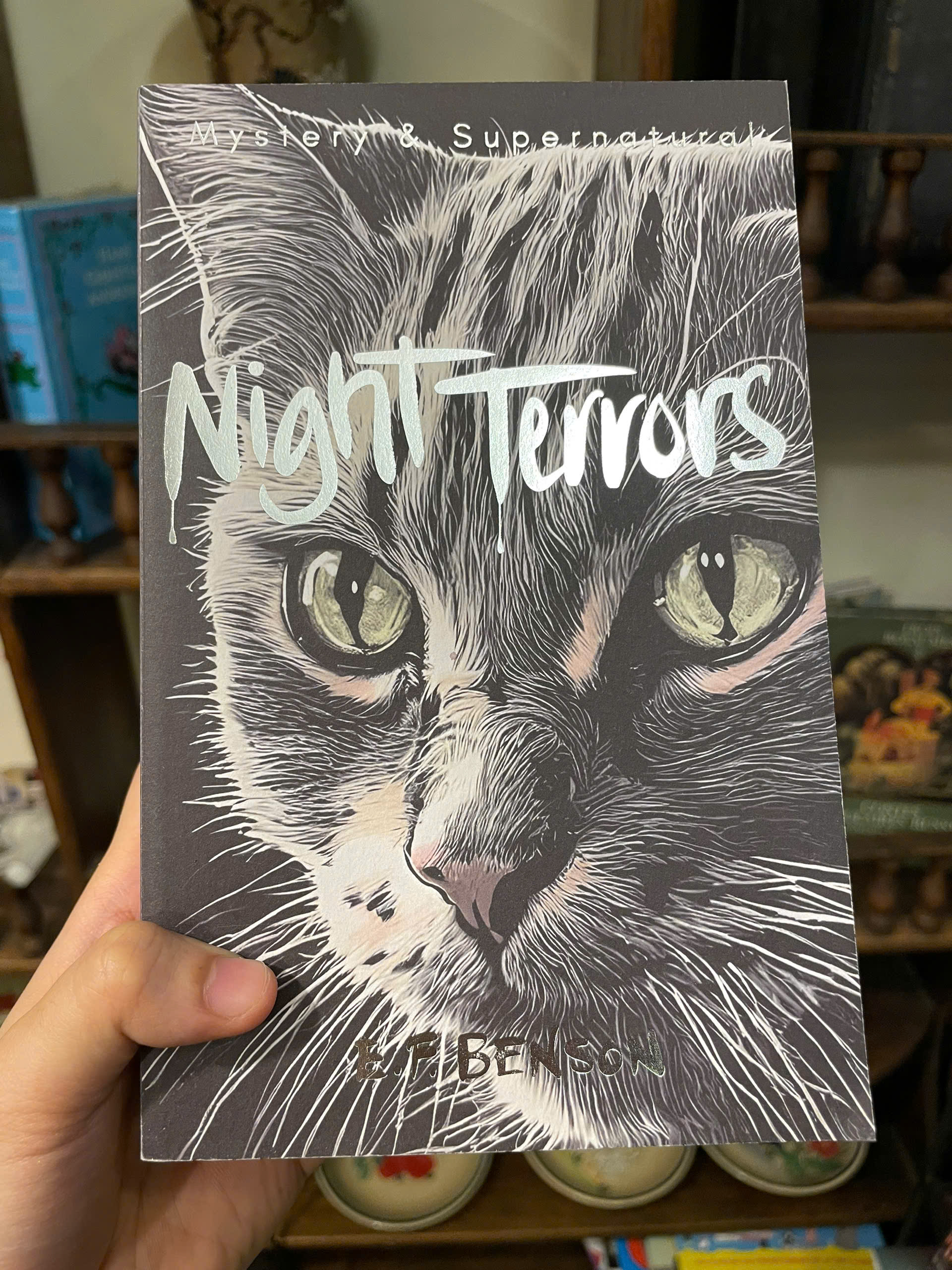 Sách - Night Terrors (Tales of Mystery & The Supernatural) by E.F. Benson | English Ghost Stories
