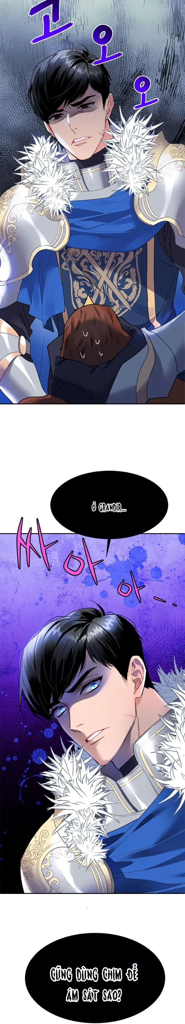 công chúa chim ưng cavier chapter 2 24