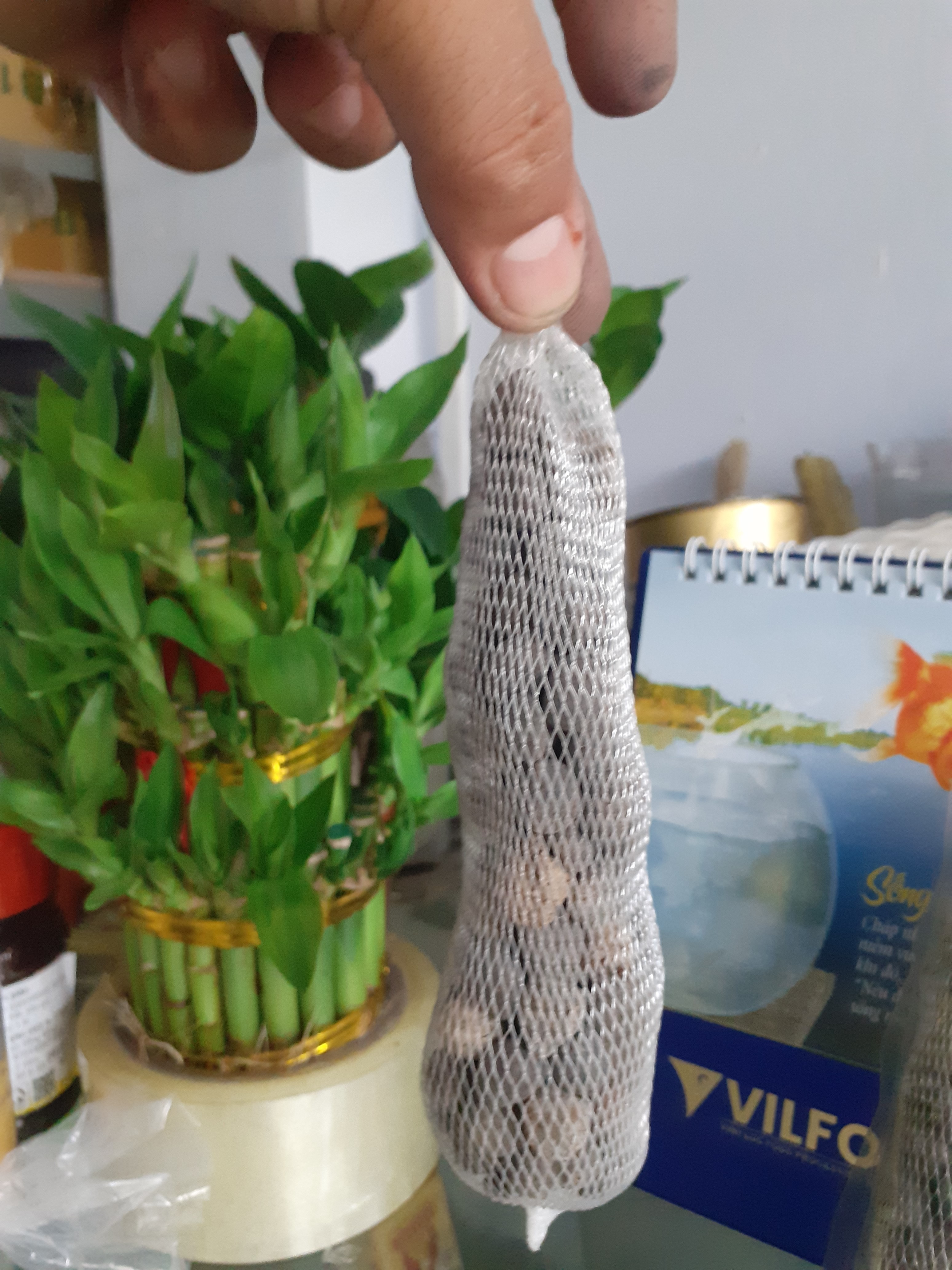Bịch 10 túi lưới phân dê