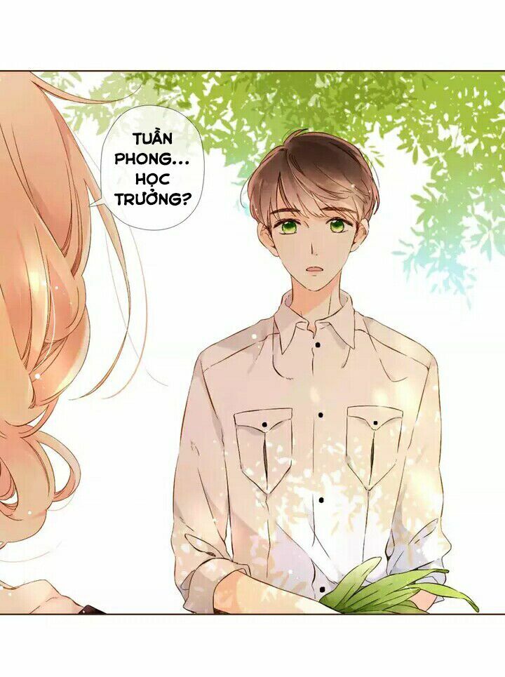 Tình yêu là màu hoa anh thảo chapter 28.1 32