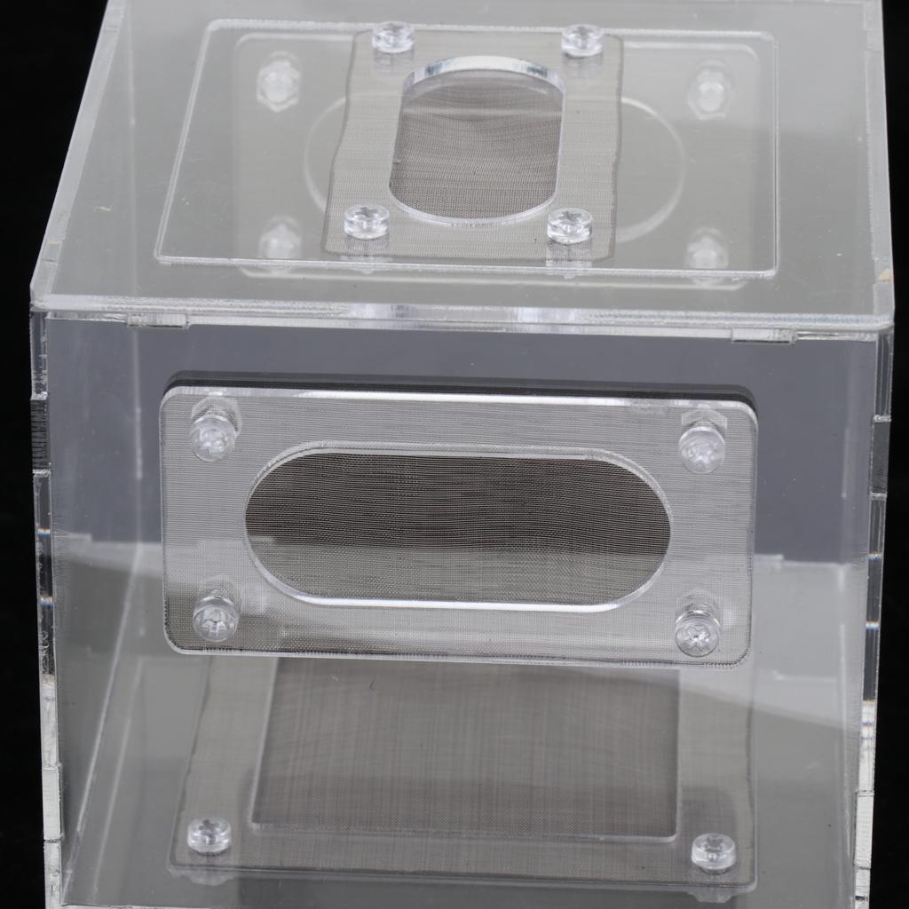 Small Reptile Lizard Spider Scorpion Insect Vivarium Feeding Rearing Box