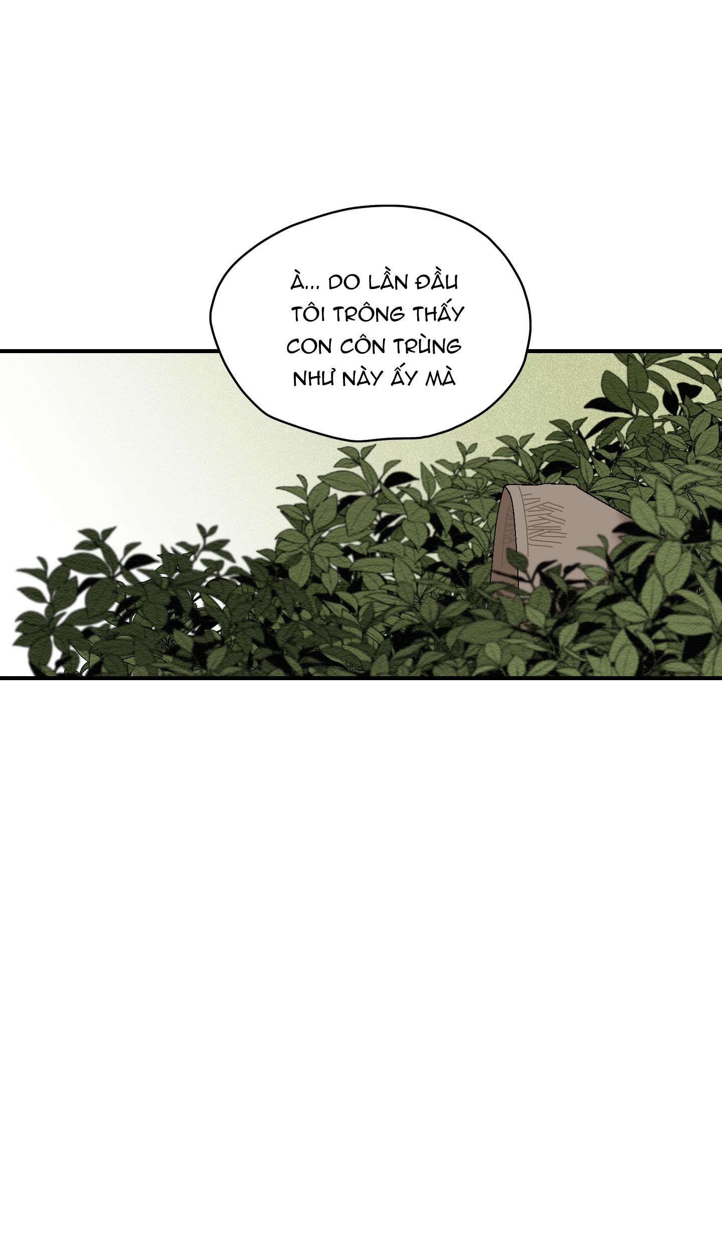 đường hoa liên kiều rơi chapter 7 11