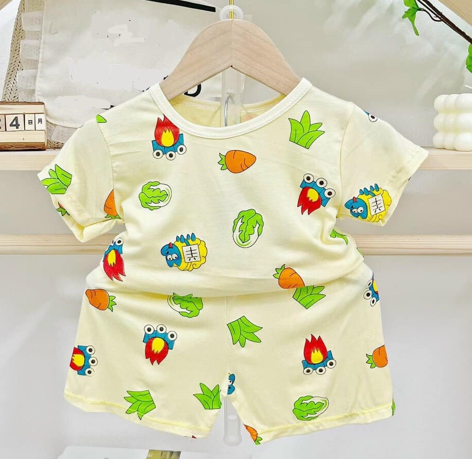 Set bộ thun lạnh Minky mom cho bé