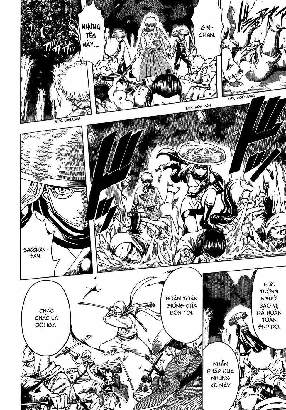 gintama - linh hồn bạc chapter 506 5