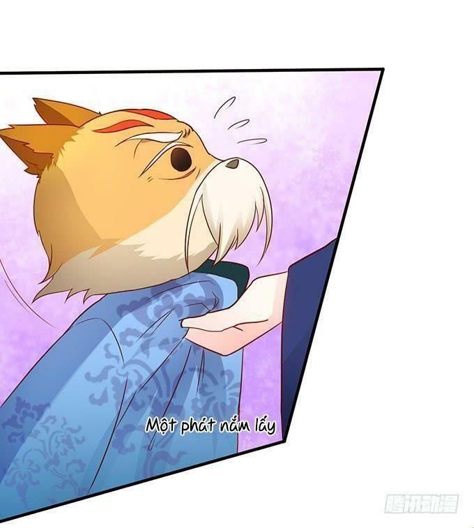 hồ tiên hung bạo chapter 62 25