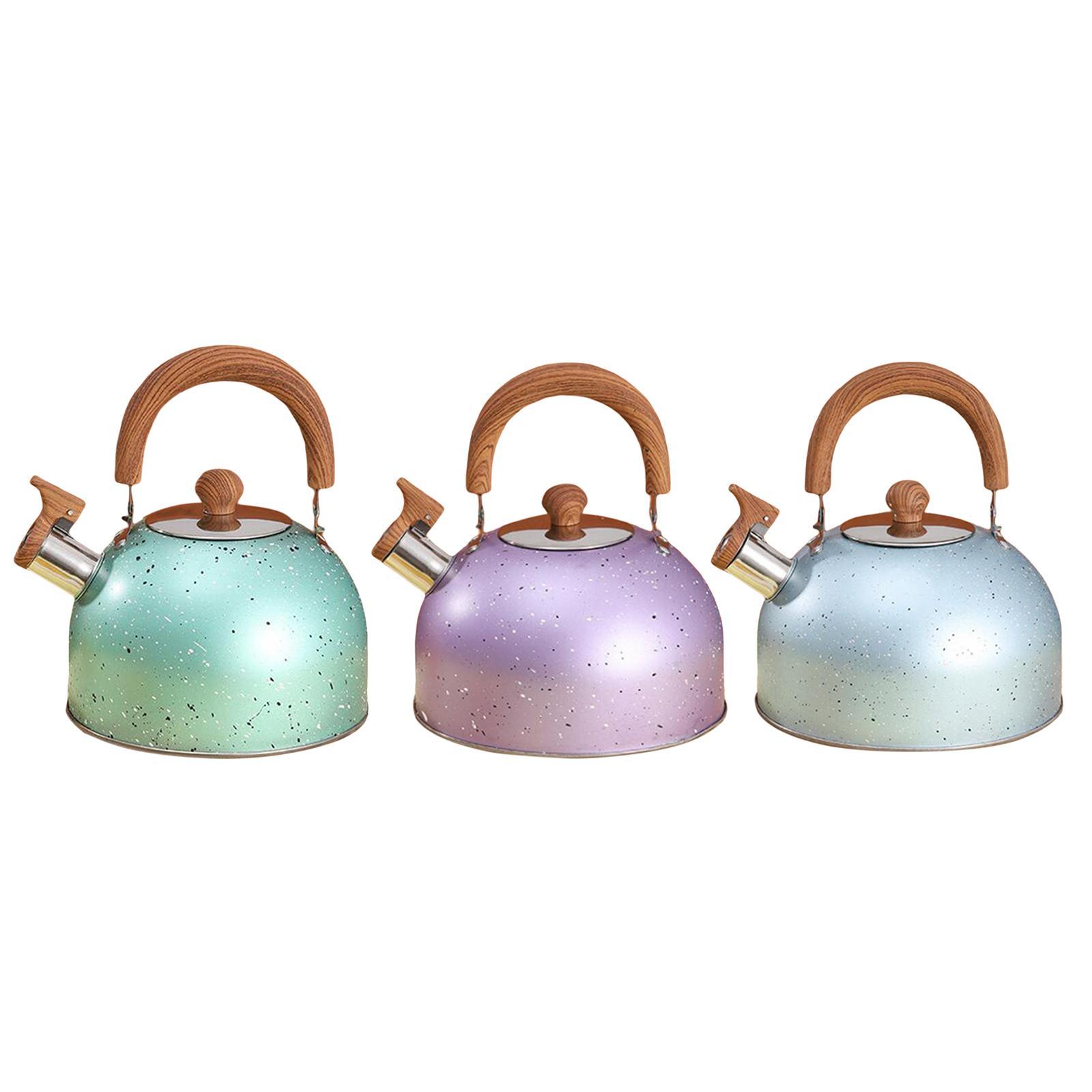 3L Whistle tea Kettle for Top for Boiling water