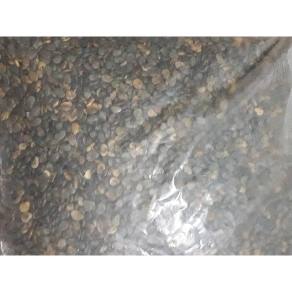 Hạt Giống Cỏ Lục Lạc Sợi - 100g - Hạt Giống Cỏ Chăn Nuôi