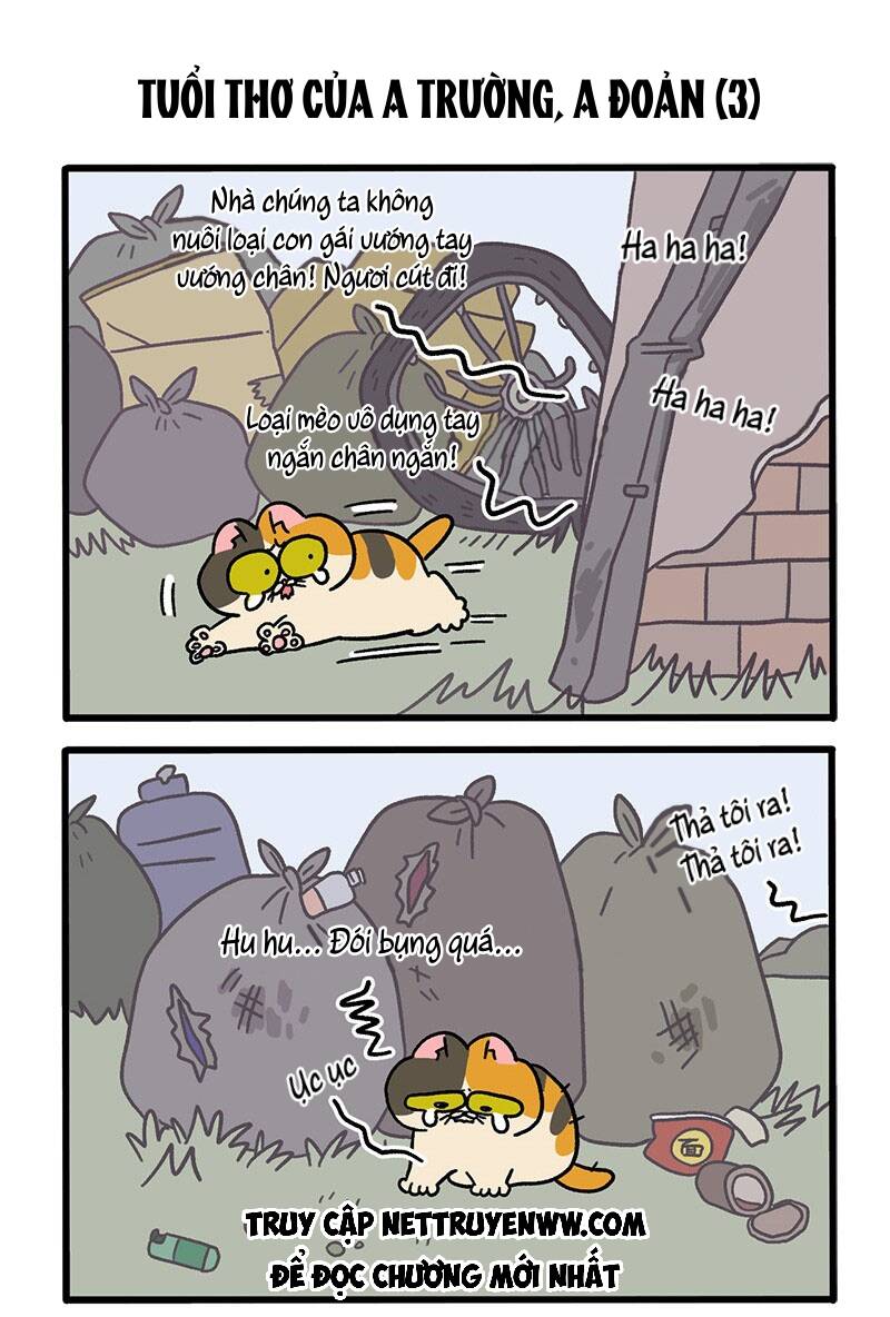 a mãn và mạch trà chapter 50.2 5