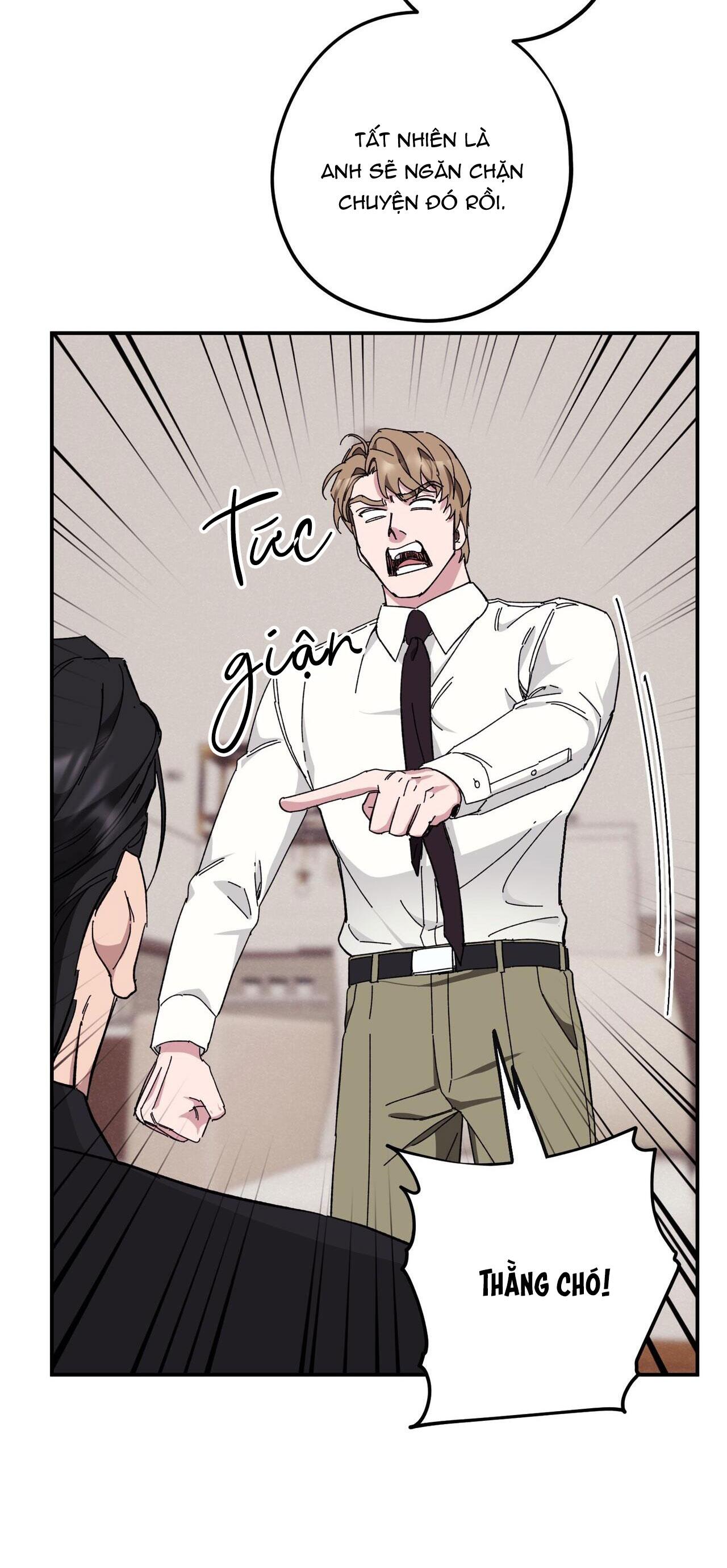 làm dâu nhà tài phiệt họ kang chapter 33 38