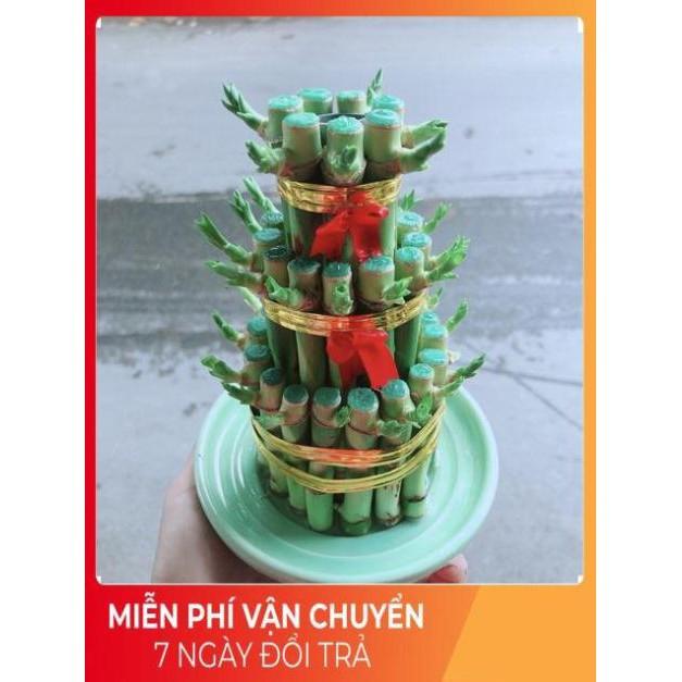 Trúc Phát Tài 3 Tầng
