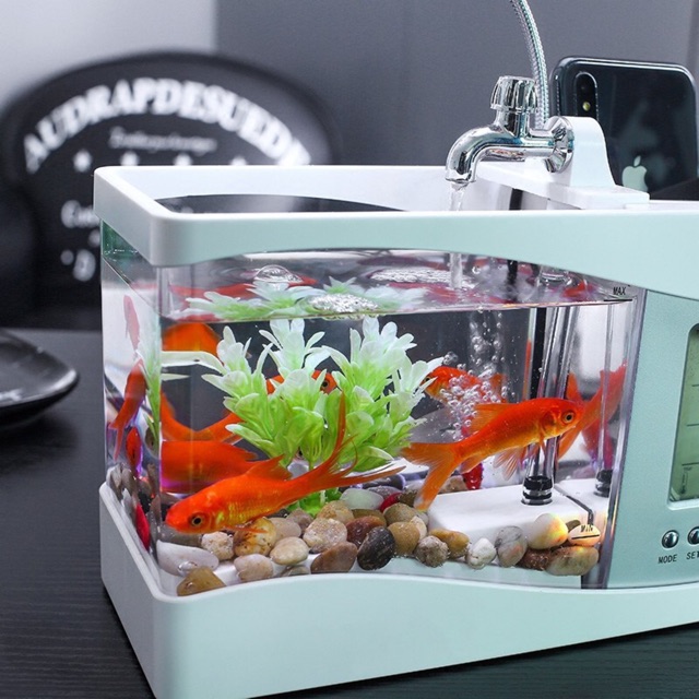 Bể cá cảnh mini để bàn,văn phòng - Hồ cá phong thủy mini trang trí bàn làm việc có đèn led