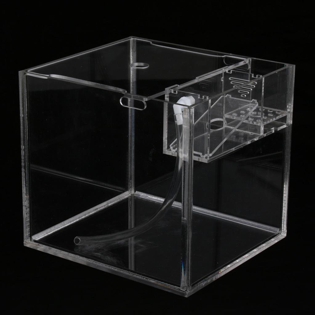 Tropical Betta Mini Tank Arcylic Aquarium Small Tank