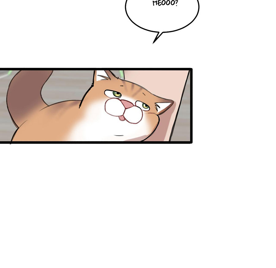 rốt cuộc bé mèo đang nghĩ gì ? chapter 18 17