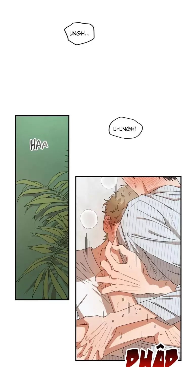 liveta chapter 25 21