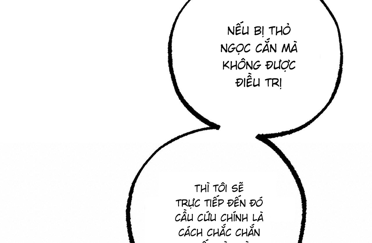 những chú thỏ của hapypy chapter 61 29