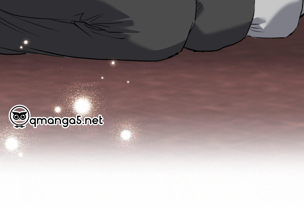 những chú thỏ của hapypy chapter 62 88