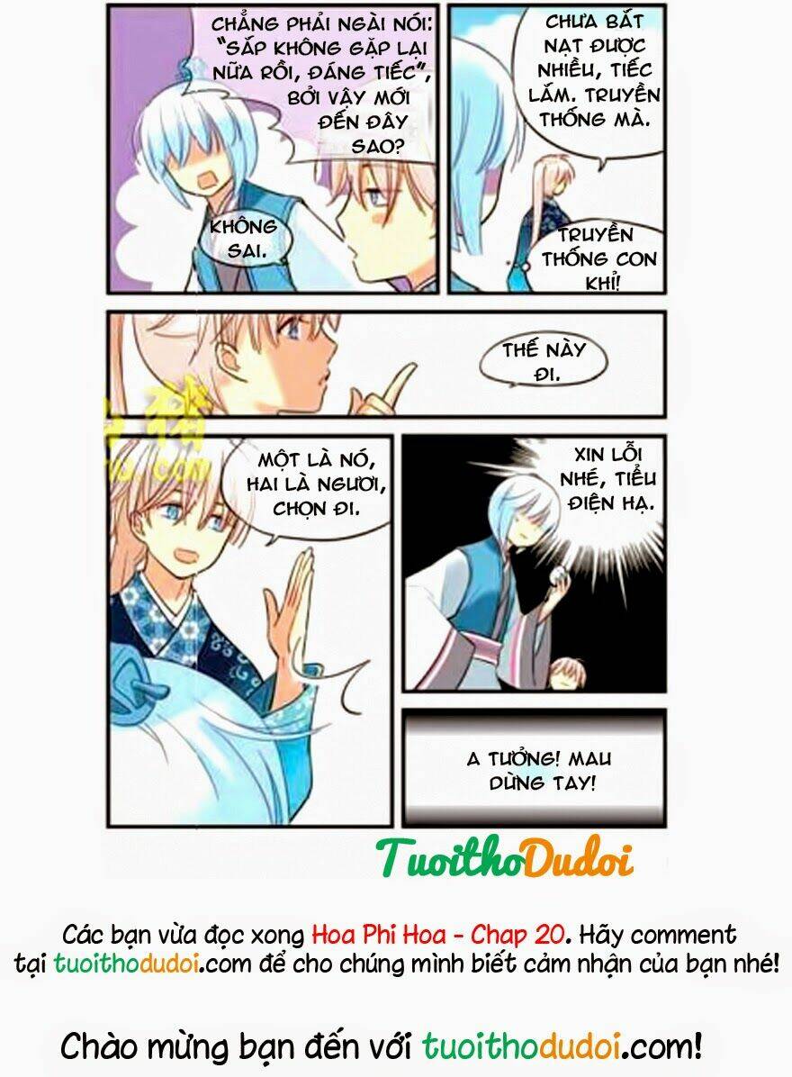 hoa phi hoa chapter 20 15