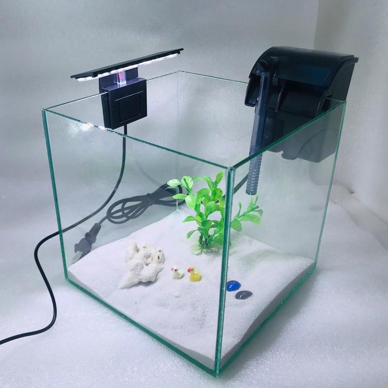 Bể cá mini CUBIC 20cm COMBOTặng 6 món phụ kiện trang trí