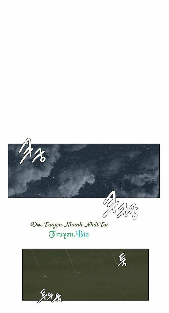 m. m. g. chapter 12 28