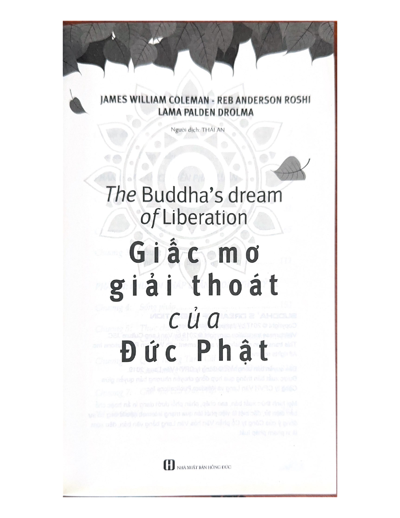 Sách Giấc Mơ Giải Thoát Của Đức Phật