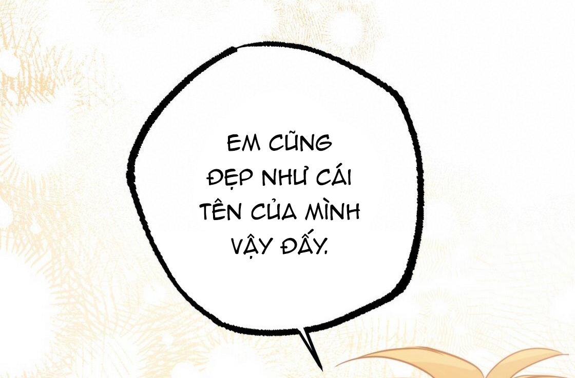 đàn thỏ của habibi chapter 24 223