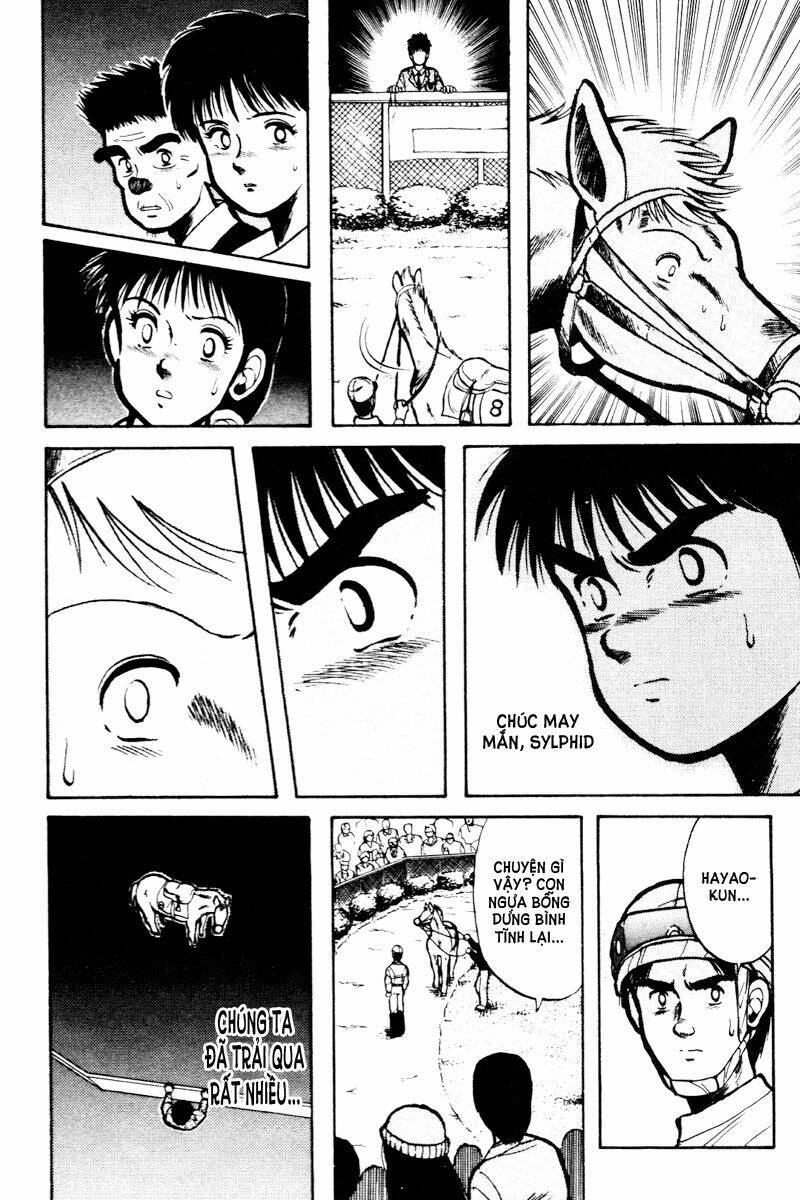 kaze no sylphid - phong mã silphid chapter 14 9