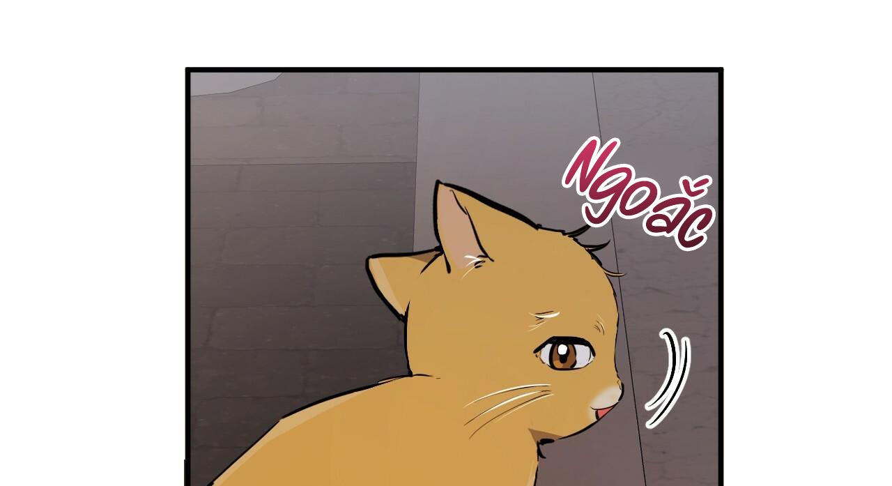 đàn thỏ của habibi chapter 47 282